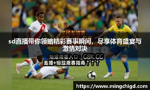 sd直播带你领略精彩赛事瞬间，尽享体育盛宴与激情对决