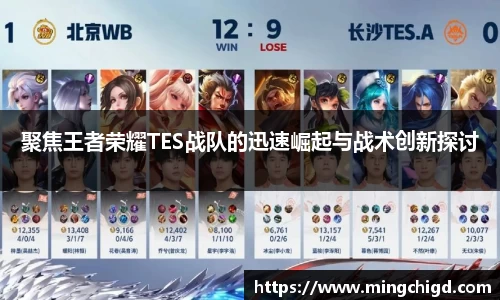 聚焦王者荣耀TES战队的迅速崛起与战术创新探讨