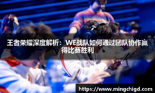 王者荣耀深度解析：WE战队如何通过团队协作赢得比赛胜利