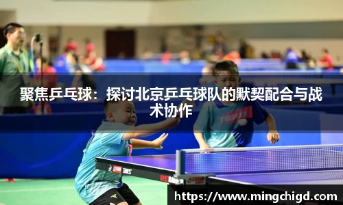 聚焦乒乓球：探讨北京乒乓球队的默契配合与战术协作