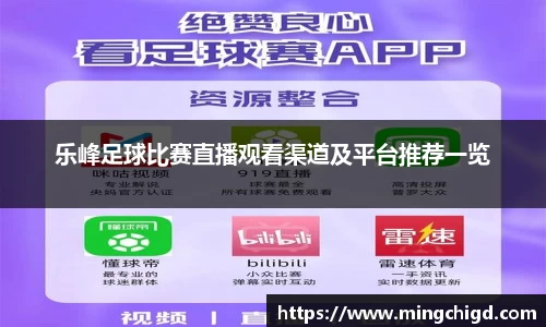 乐峰足球比赛直播观看渠道及平台推荐一览