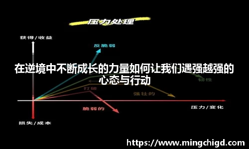 VSport体育胜利